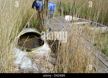 (Afp) le fichier photo datée de 2004 montre un paysage près de Ebeltoft, Danemark. Photo : Frank May Banque D'Images