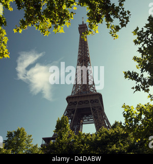 La Tour Eiffel entourée d'arbres Banque D'Images