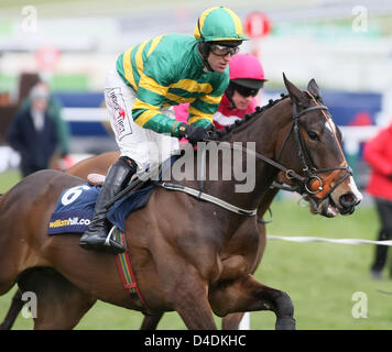 Cheltenham, Royaume-Uni. 12 mars 2013. Jezki monté par Robbie William Hill dans l'alimentation des Novices suprême obstacle sur le premier jour (Champion jour ) de la Cheltenham Festival National Hunt. Credit : Action Plus de Sports / Alamy Live News Banque D'Images