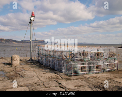 Nouveau crabe et homard sur le quai Banque D'Images