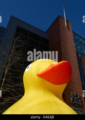 Spinningfields, Manchester, Royaume-Uni. 12th mars 2013. Un canard jaune géant à Spinningfields annoncera la course annuelle de Manchester le vendredi 29th mars 2013 Banque D'Images