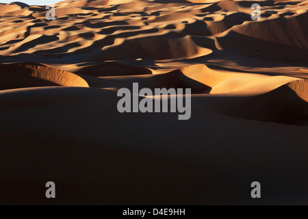 Dunes de sable dans le désert à Liwa Oasis, eau Banque D'Images