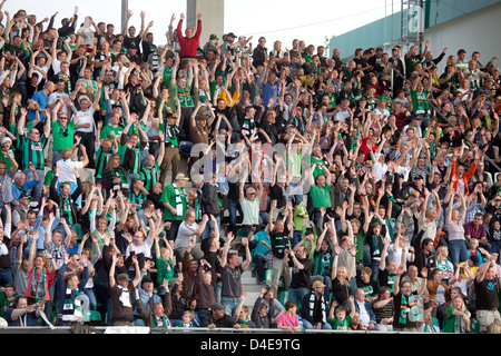 Münster, Allemagne, les amateurs de soccer de l'équipe de célébrer leur Preussen Münster Banque D'Images