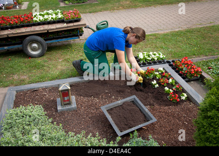 Meerbusch, Allemagne, un Friedhofsgaertnerin plantées une tombe Banque D'Images