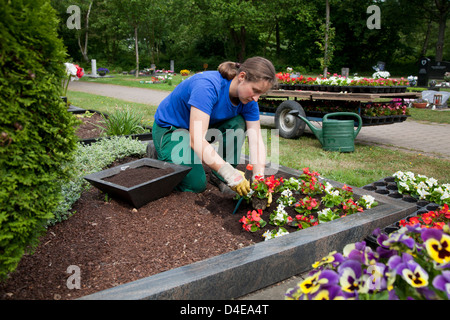 Meerbusch, Allemagne, un Friedhofsgaertnerin plantées une tombe Banque D'Images