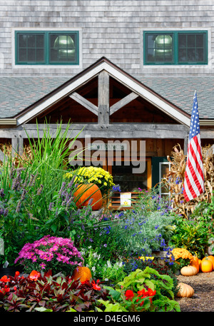 Gloire du matin ferme stand, Edgartown, Martha's Vineyard, Massachusetts, USA Banque D'Images