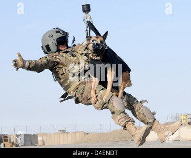 Un vol US Army medic est hissé dans un hélicoptère médical avec Luca, un chien de travail militaire lors d'un exercice d'entraînement le 24 février 2013 à la base d'opérations avancée de Spin Boldak, Afghanistan. La formation préparée le vol d'évacuation médicale pour médecins de chiens de travail. Banque D'Images