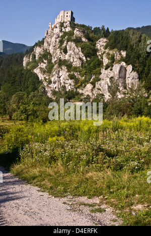 Ruines du château de strecno sur colline rocheuse au-dessus de la colline en vah montagnes mala fatra en Slovaquie avec Prairie et Ciel clair Banque D'Images