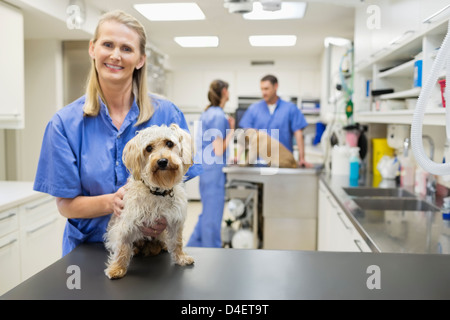 Vétérinaire smiling with dog in vet's surgery Banque D'Images