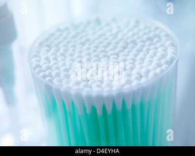 Close up of tasse de bourgeons de coton Banque D'Images