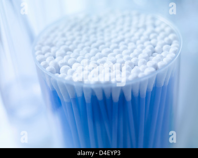 Close up of tasse de bourgeons de coton Banque D'Images