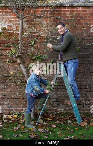 Père et fils travaillant dans jardin Banque D'Images