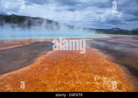 L'augmentation de vapeur à partir de hot spring Banque D'Images