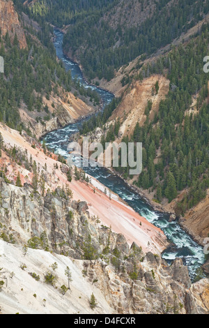 Vue aérienne de la rivière dans le canyon rocheux Banque D'Images