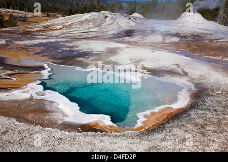 L'augmentation de vapeur à partir de hot spring Banque D'Images