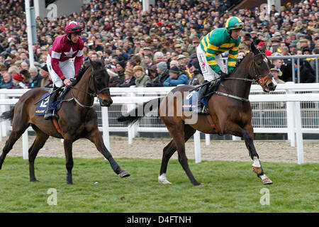 18.02.2011 - Cheltenham, Jezki, montée par Robbie Puissance sur leur chemin vers le début pour le William Hill Supreme Novices Hurdle Grade 1. Credit : Lajos-Eric turfstock.com/Balogh Banque D'Images