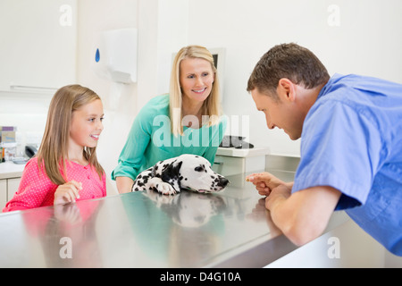 Vétérinaire et propriétaire l'examen de chien dans la chirurgie de l'EFP Banque D'Images