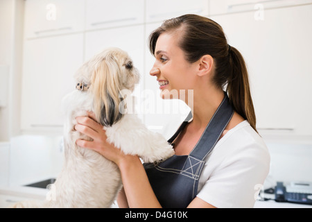 Toiletteur holding dog in office Banque D'Images