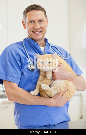Holding cat in vet vétérinaire chirurgie Banque D'Images