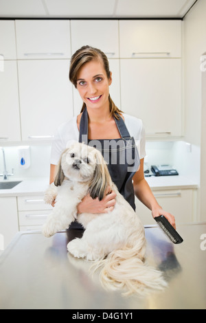 Toiletteur chien travaillant sur in office Banque D'Images