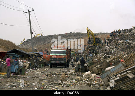 La photo montre l'une des décharges à Jakarta Bekasi Bantargebang, 23 août 2008. Les chèvres se nourrissent de la matière organique et de l'eau incombe un vender (L) tire un panier de l'autre côté de la rue. Les déchets d'environ 10 pour cent de la population totale de l'Indonésie - environ 20 millions de personnes - sont stockées ici. La poubelle est recherché pour les matériaux utilisables, en particulier, par les déchets en plastique colle Banque D'Images