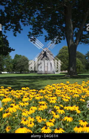 BLACK EYED SUSAN FLEURS CORWITH VILLAGE MOULIN À VENT MOULIN À EAU VERT LONG ISLAND NEW YORK STATE USA Banque D'Images