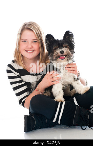 Yorkshire Terrier castor isolated on white Banque D'Images