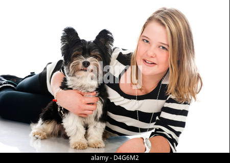 Yorkshire Terrier castor isolated on white Banque D'Images