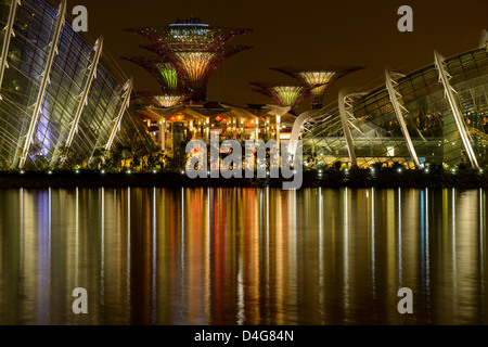Supertrees et dômes dans des jardins à la baie de nuit, à Singapour, en Asie du sud-est Banque D'Images