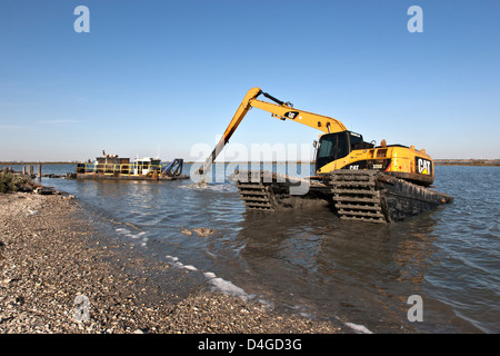 Cat amphibie voie Hoe, l'étai d'une drague suceuse hydraulique capacités l'habitat de la faune. Banque D'Images