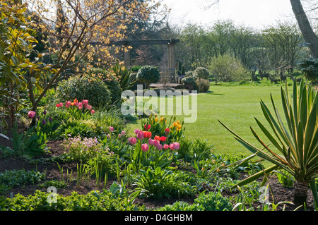 Jardin de printemps avec des tulipes colorées à John's garden, Anah forestières Banque D'Images