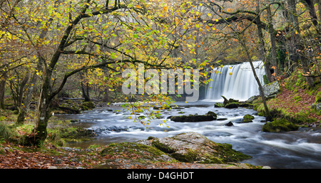 Ddwli Scwd Nedd Fechan cascade sur la rivière près de Ystradfellte, parc national de Brecon Beacons, Powys, Wales, UK. Banque D'Images