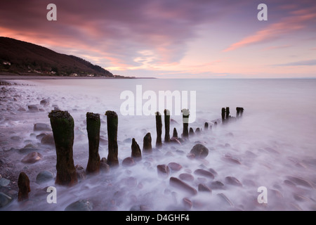 En bois patiné sur épi de Porlock Beach, parc national d'Exmoor, Somerset, Angleterre. L'hiver (février) 2010. Banque D'Images