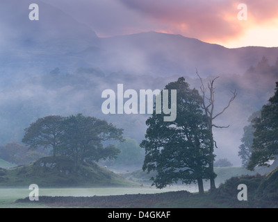 Misty atmosphérique près de sunset Lake Road, Lake District, Cumbria, Angleterre. L'automne (octobre) 2012. Banque D'Images