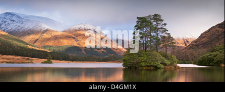 Dans l'île de Lochan Urr dans Glen Etive, en Écosse. L'hiver (novembre) 2012. Banque D'Images