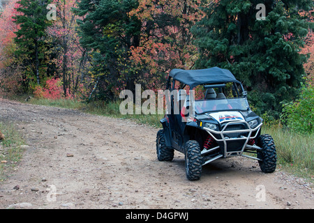 4x4 d'un véhicule utilitaire sport RZR mountain road 3303 Banque D'Images