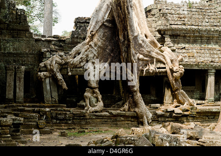 Ta Som temple , zone d'Angkor Banque D'Images