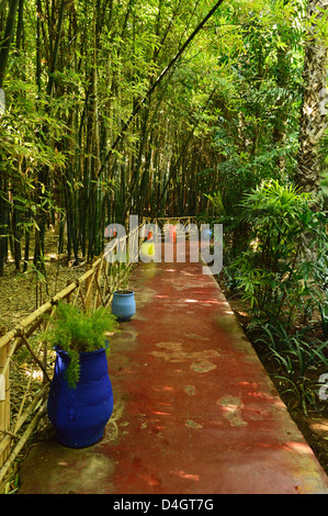 Les jardins Majorelle, Marrakech, Maroc, Afrique du Nord Banque D'Images