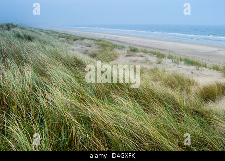 Curracloe beach, comté de Wexford, Leinster, République d'Irlande (Eire) Banque D'Images