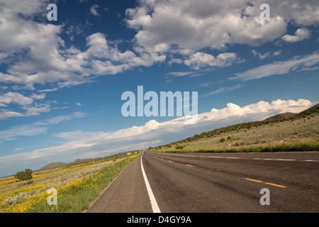 Le long de la route 66 près de Seligman, Arizona, USA Banque D'Images