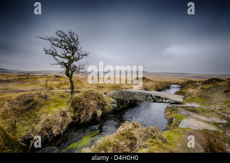 Un pont de palourdes (single clapper bridge) sur Walla Brook à Scorhill sur Dartmoor National Park Banque D'Images