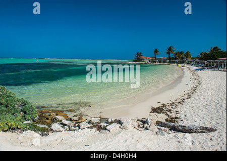 L'eau turquoise de la baie de Bac, Bonaire, Îles ABC, Netherlands Antilles, Caraïbes Banque D'Images