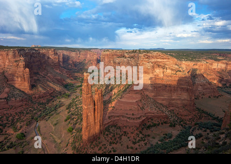 Rock Rock Spider Spider de négliger, Canyon de Chelly National Monument, Arizona, USA Banque D'Images