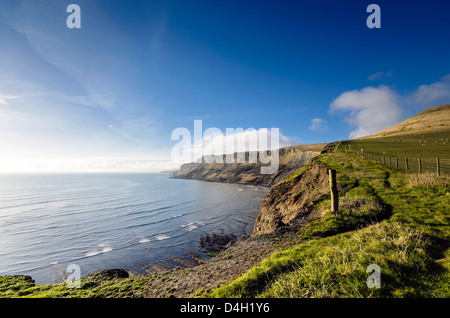 Les falaises de Gad sur la côte jurassique Kimmeridge, le South West Coast Path est à droite de la clôture. Banque D'Images