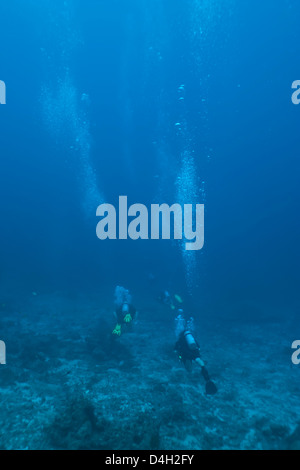 Les plongeurs sous l'eau, la Thaïlande, la mer d'Andaman, l'Océan Indien Banque D'Images