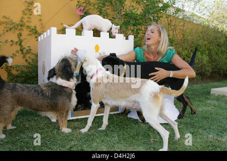 Maja Synke Princesse de Hohenzollern joue avec son chien et son chat', 'Mutzel assis sur doghouse conçu par Maja de Hohenzollern, dans un jardin à Marbella, Espagne, 26 juillet 2008. Maja de Hohenzollern vit en ce moment dans une maison en andalousie avec cinq chiens, chiots cinq et deux chats, qu'elle a sauvé de la rue ou le meurtre. Maja de Hohenzollern vend sa a conçu un Banque D'Images