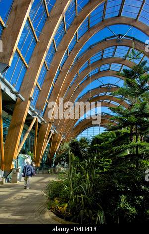 Jardins d'hiver, Sheffield, South Yorkshire, Yorkshire, Angleterre, Royaume-Uni Banque D'Images