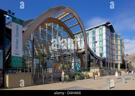 Jardins d'hiver, Sheffield, South Yorkshire, Yorkshire, Angleterre, Royaume-Uni Banque D'Images