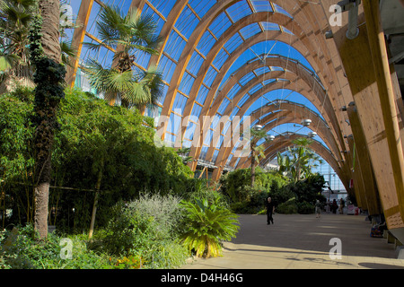 Jardins d'hiver, Sheffield, South Yorkshire, Yorkshire, Angleterre, Royaume-Uni Banque D'Images