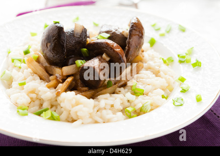 Le risotto aux champignons sur plaque blanche, gros plan Banque D'Images